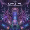 Lyktum - Sacred Plants (Remixes)